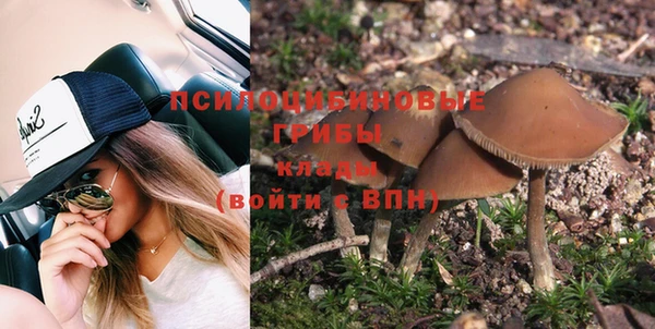 ГАЛЛЮЦИНОГЕННЫЕ ГРИБЫ Куйбышев